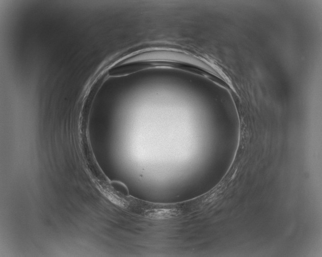 X0000083660151200702121225