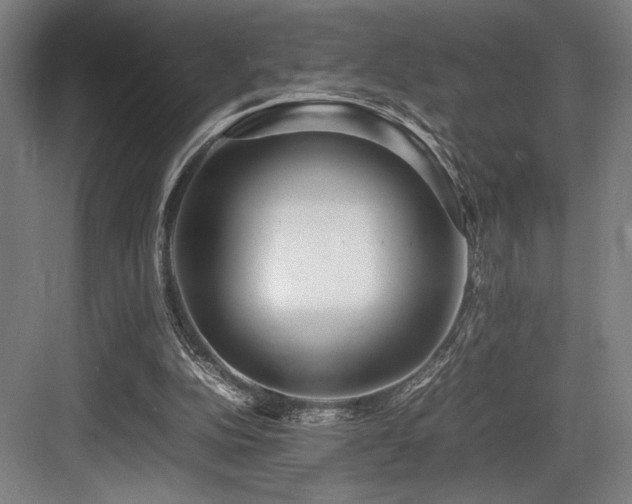 X0000083660152200702121225