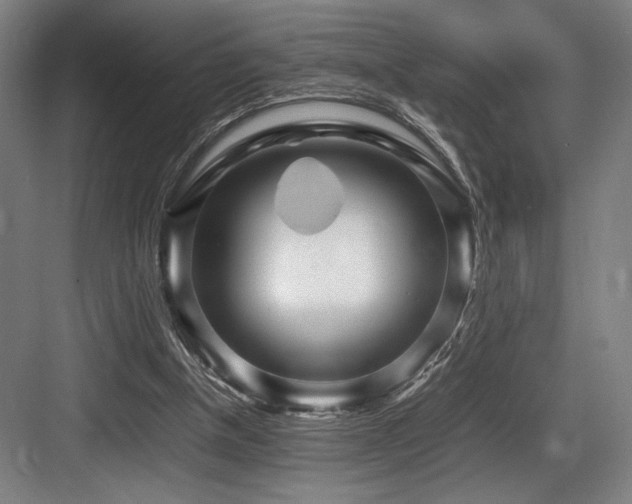 X0000083660154200702121225