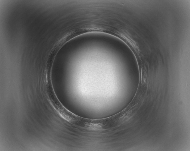 X0000083660157200702121225