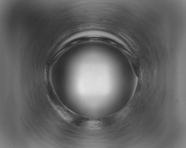 X0000083660158200702121225