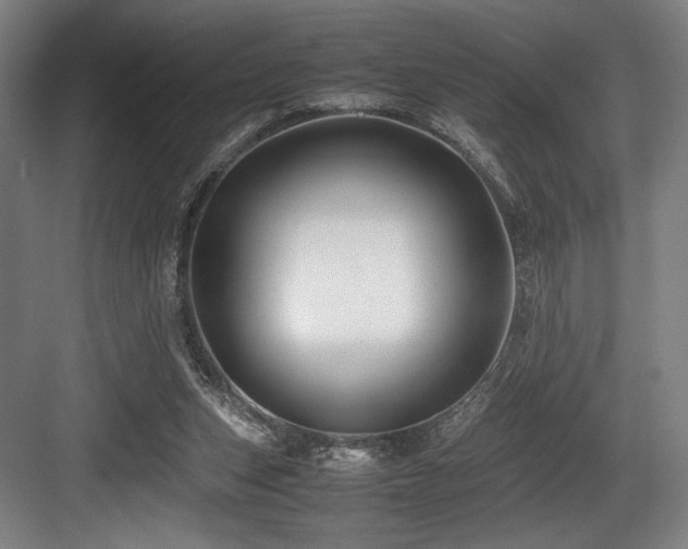 X0000083660159200702121225