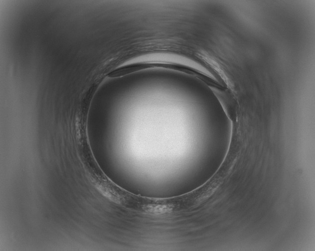 X0000083660161200702121225