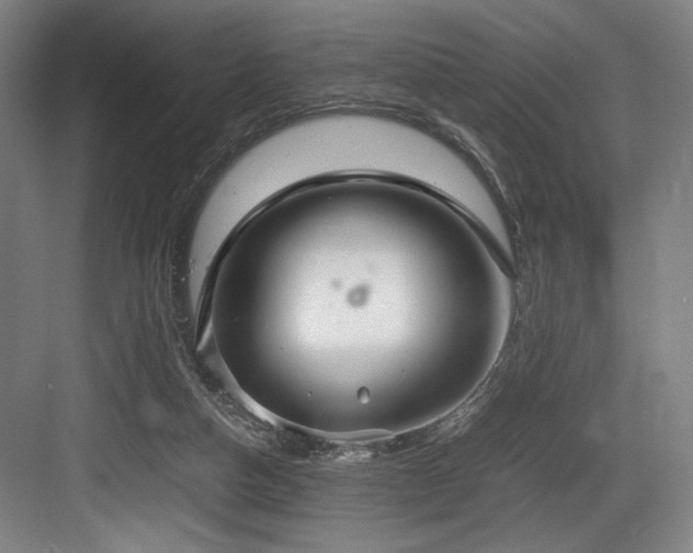 X0000083660162200702121225