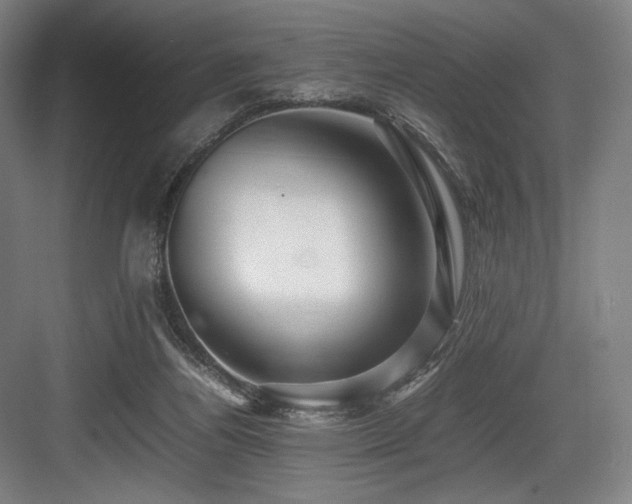X0000083660164200702121225