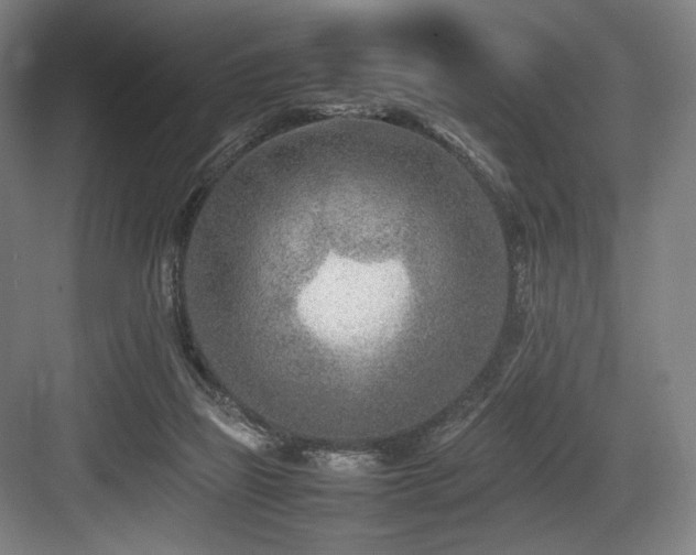 X0000083660165200702121225
