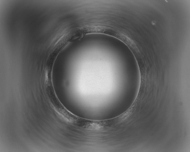 X0000083660166200702121225