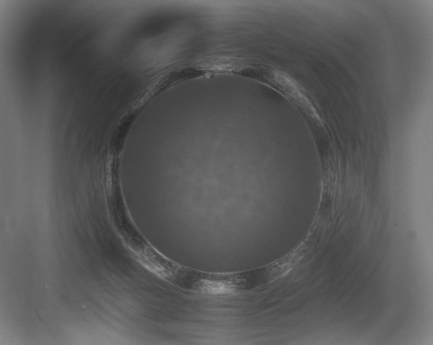 X0000083660167200702121225