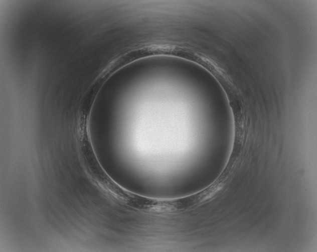X0000083660168200702121225