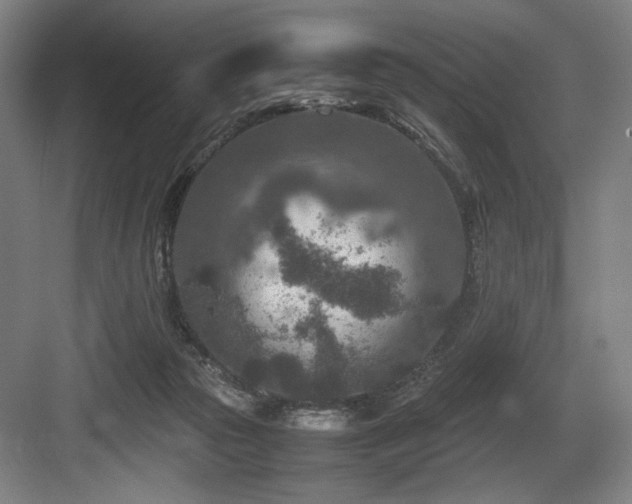 X0000083660169200702121225