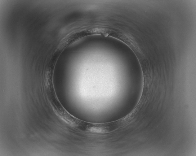 X0000083660171200702121225