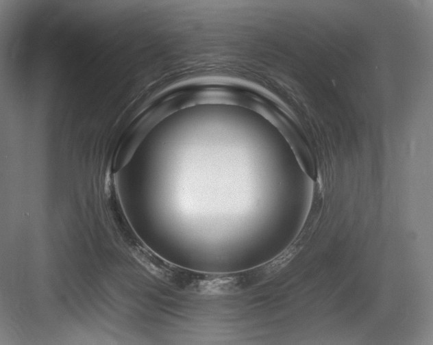 X0000083660172200702121225
