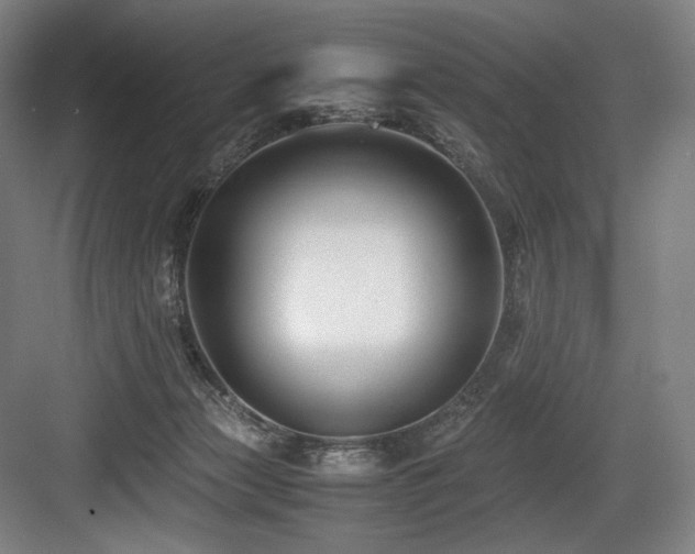 X0000083660173200702121225