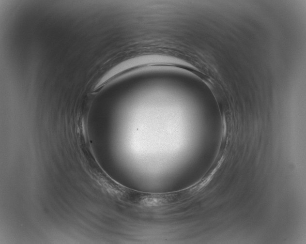 X0000083660174200702121225