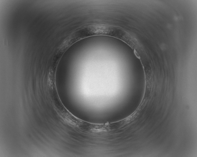 X0000083660175200702121225