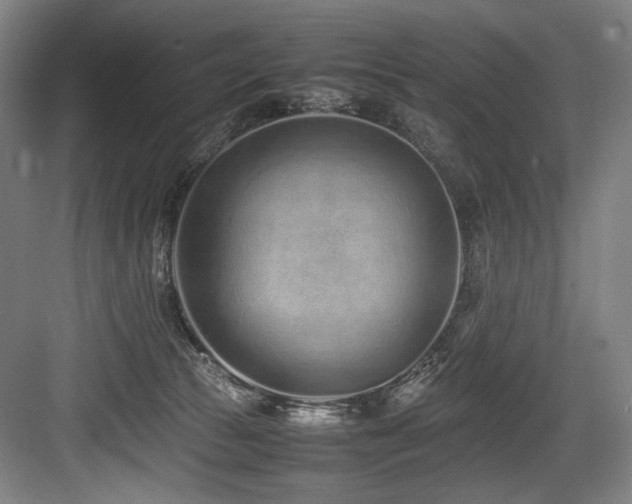 X0000083660177200702121225