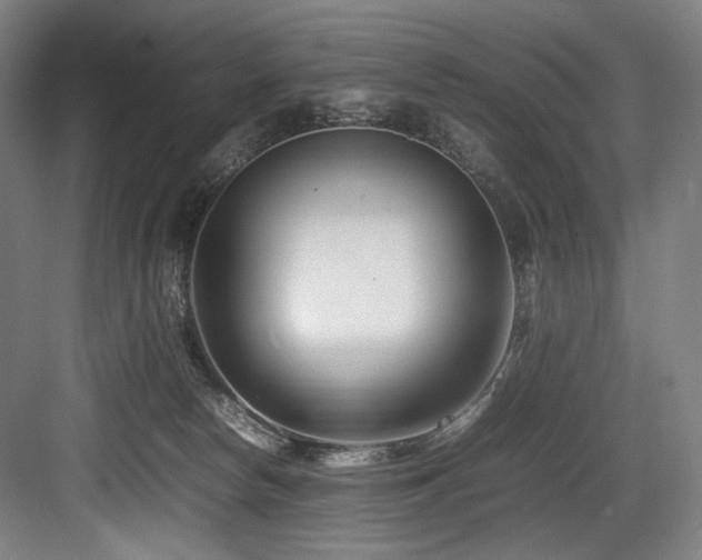 X0000083660178200702121225