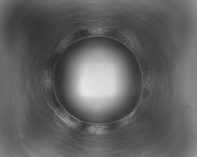 X0000083660179200702121225