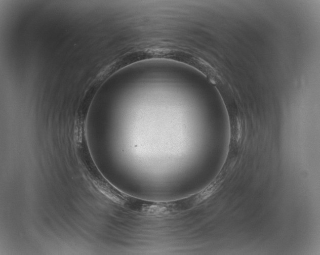 X0000083660180200702121225