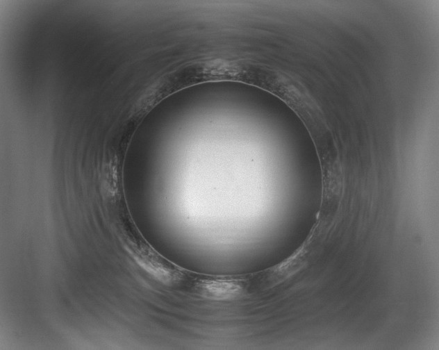X0000083660183200702121225