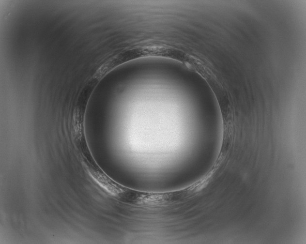 X0000083660186200702121225