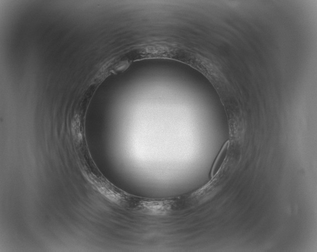 X0000083660187200702121225