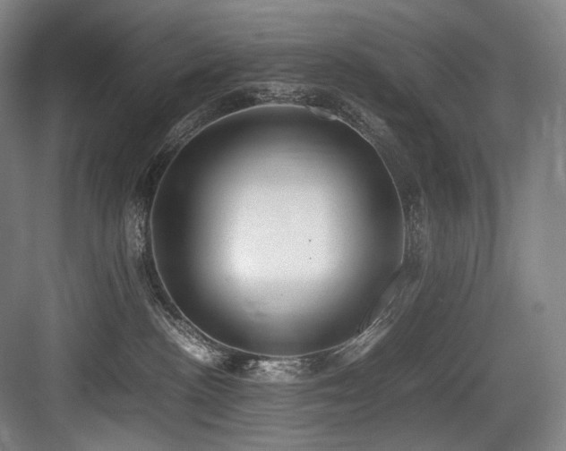 X0000083660188200702121225