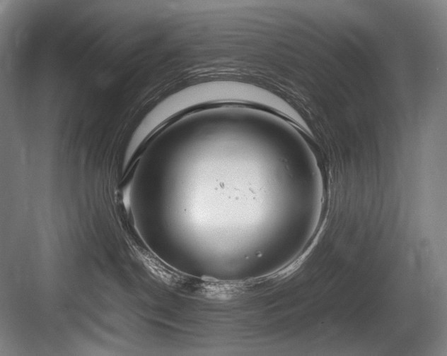 X0000083660190200702121225
