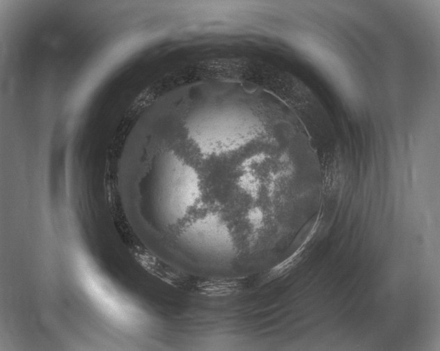 X0000083660191200702121225
