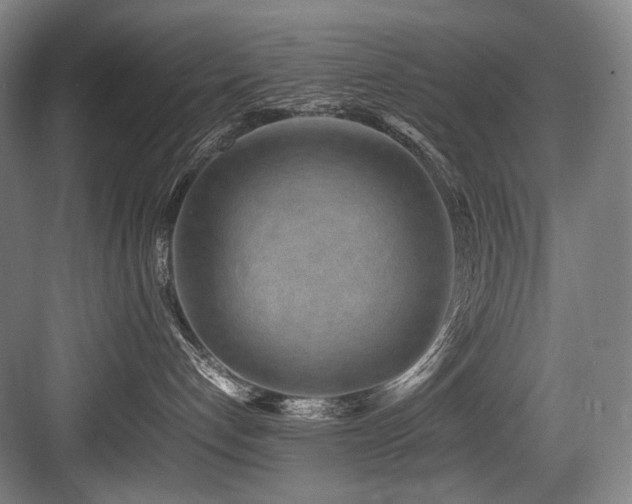 X0000083660192200702121225