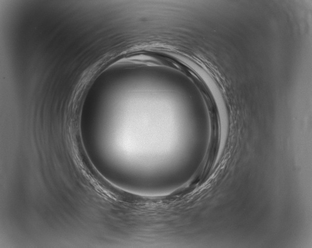 X0000083660193200702121225