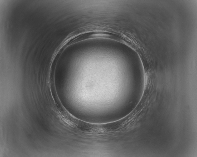X0000083660195200702121225