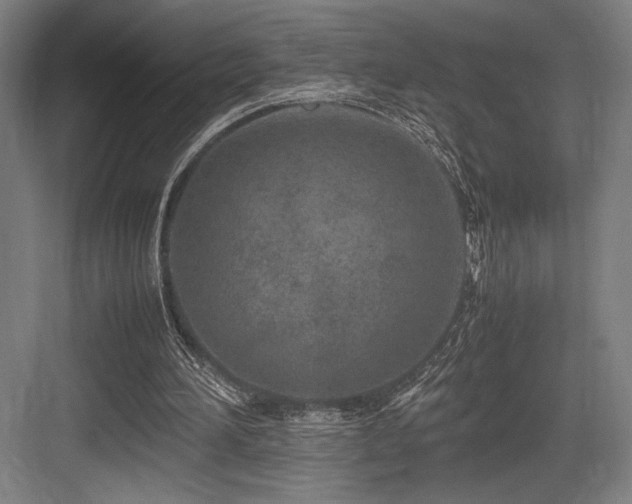 X0000083660196200702121225