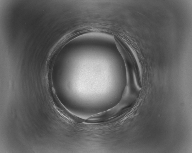 X0000083660197200702121225