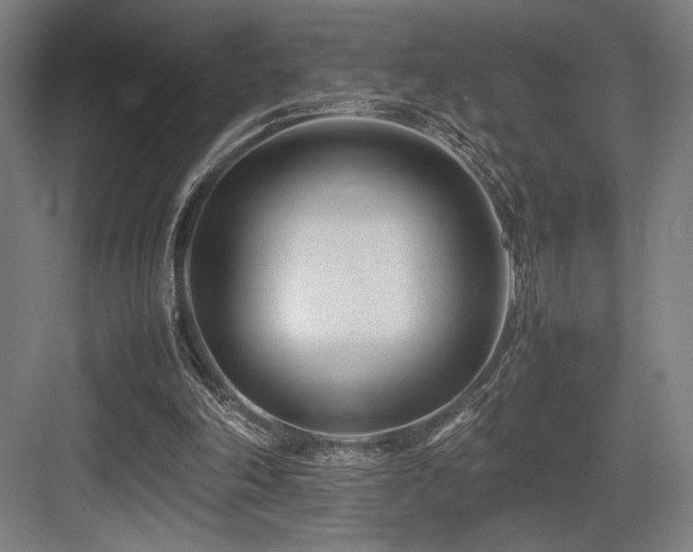 X0000083660198200702121225