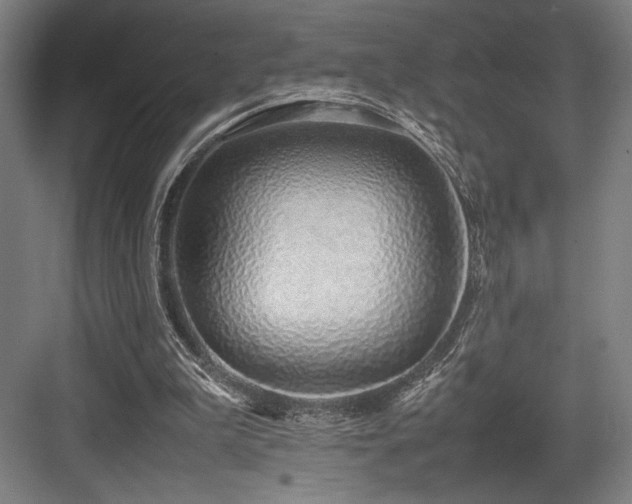 X0000083660199200702121224