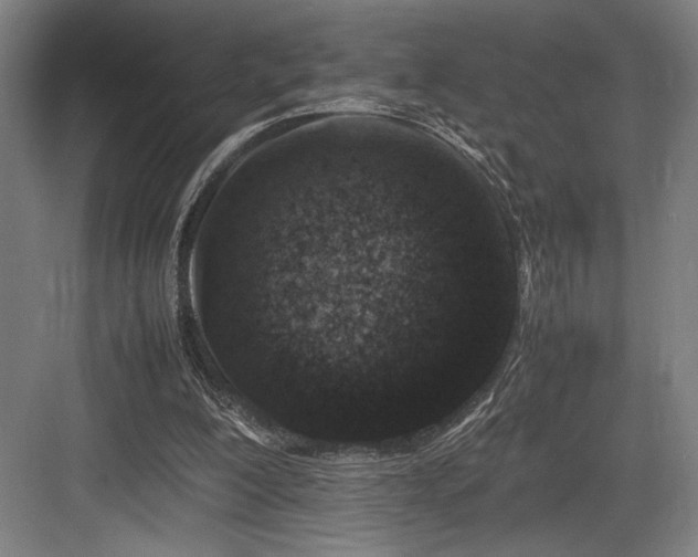 X0000083660200200702121224