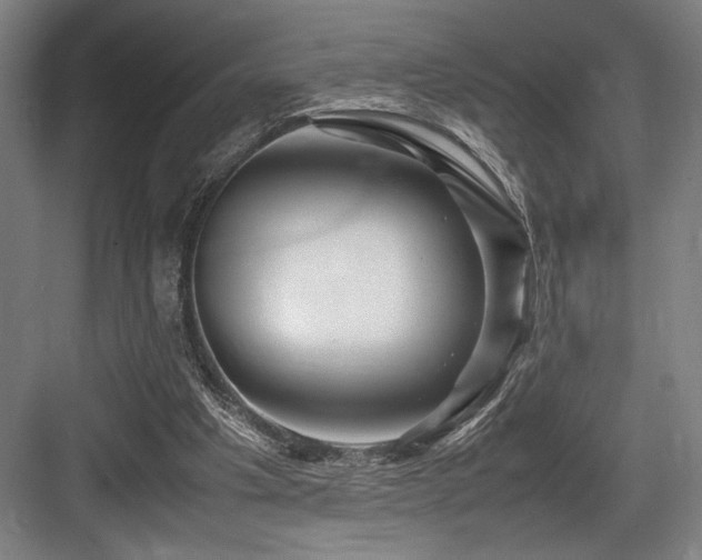 X0000083660201200702121224