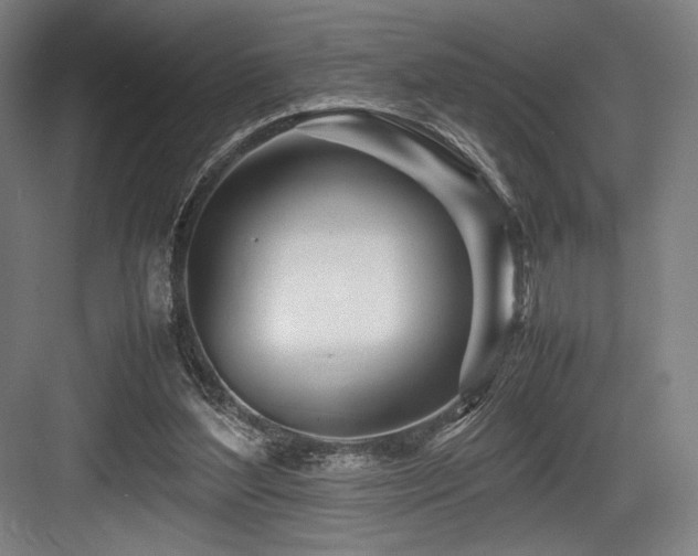 X0000083660204200702121224