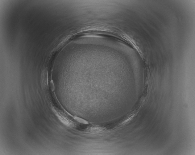 X0000083660205200702121224