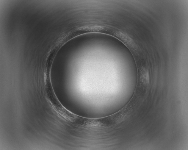 X0000083660206200702121224