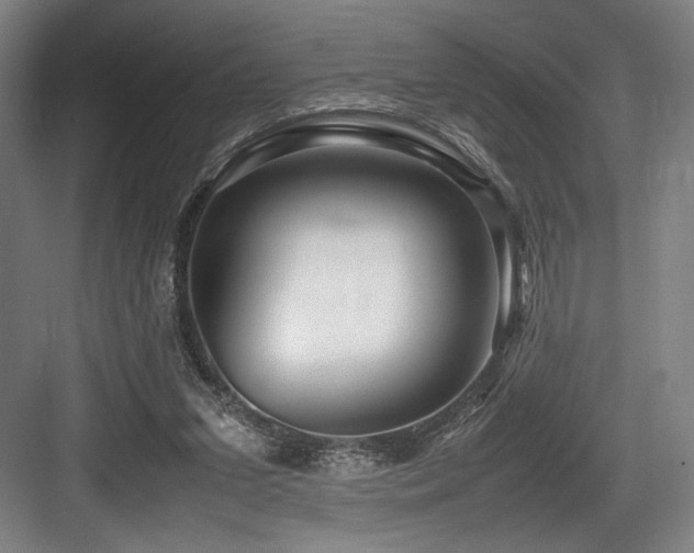 X0000083660207200702121224