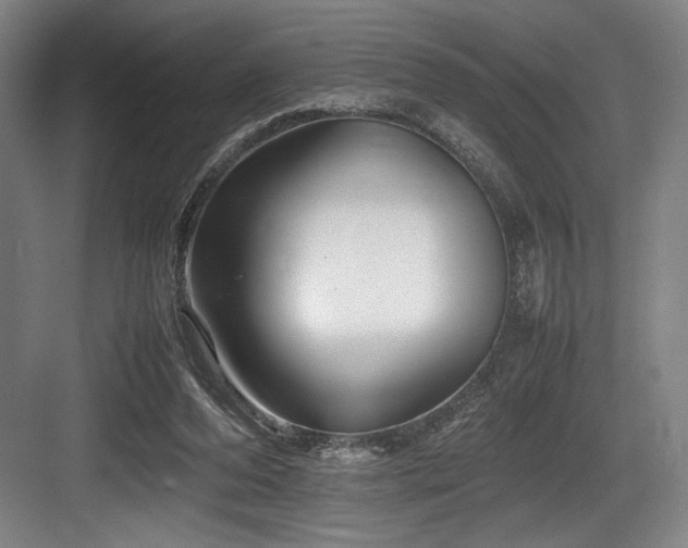 X0000083660208200702121224