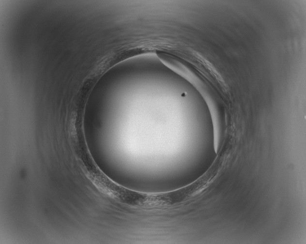 X0000083660209200702121224