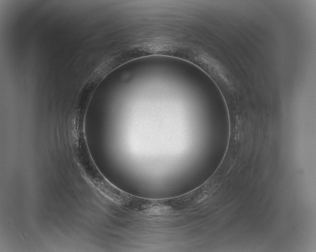 X0000083660210200702121224