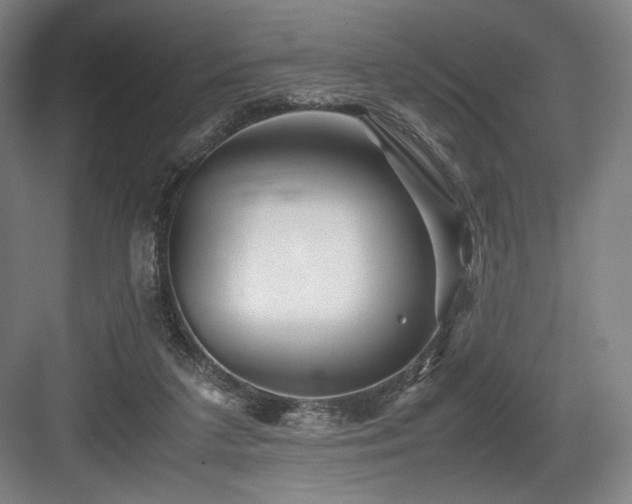 X0000083660211200702121224