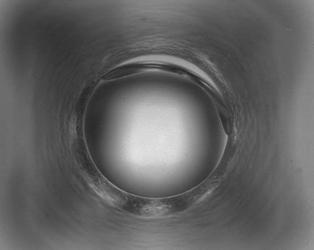 X0000083660213200702121224