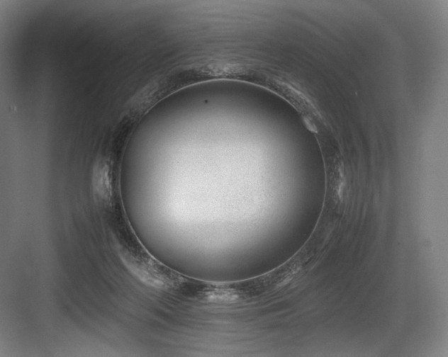 X0000083660214200702121224