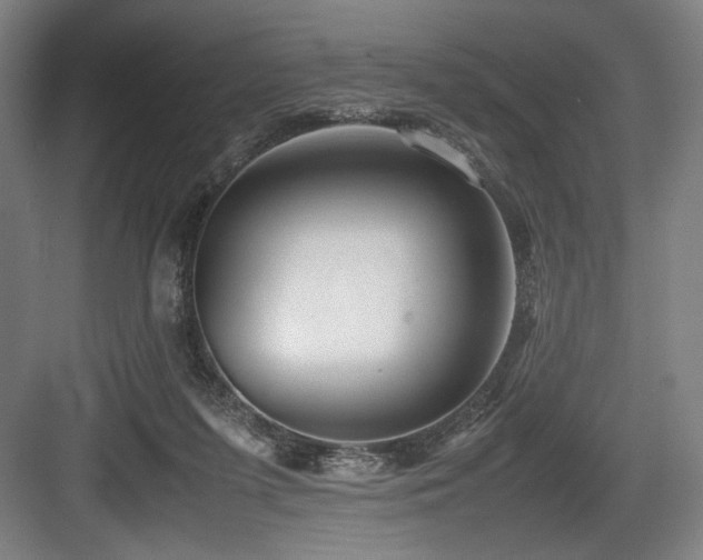 X0000083660215200702121224