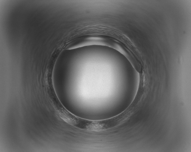 X0000083660217200702121224